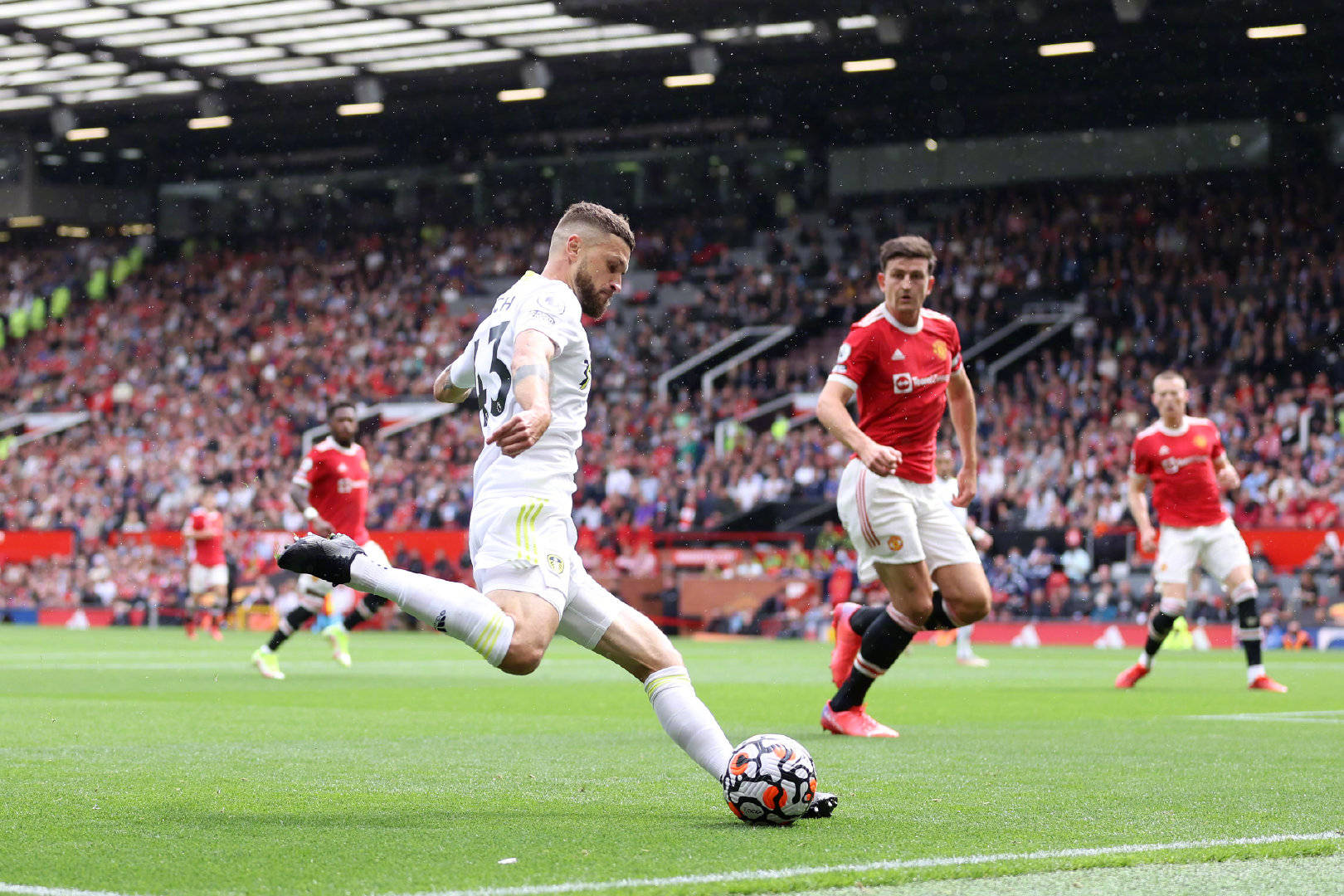 还预测了比 还预测了比